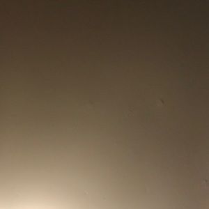 Meet your Posher, Jackson